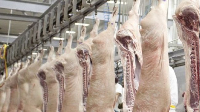 exportaciones carne cerdo argentina