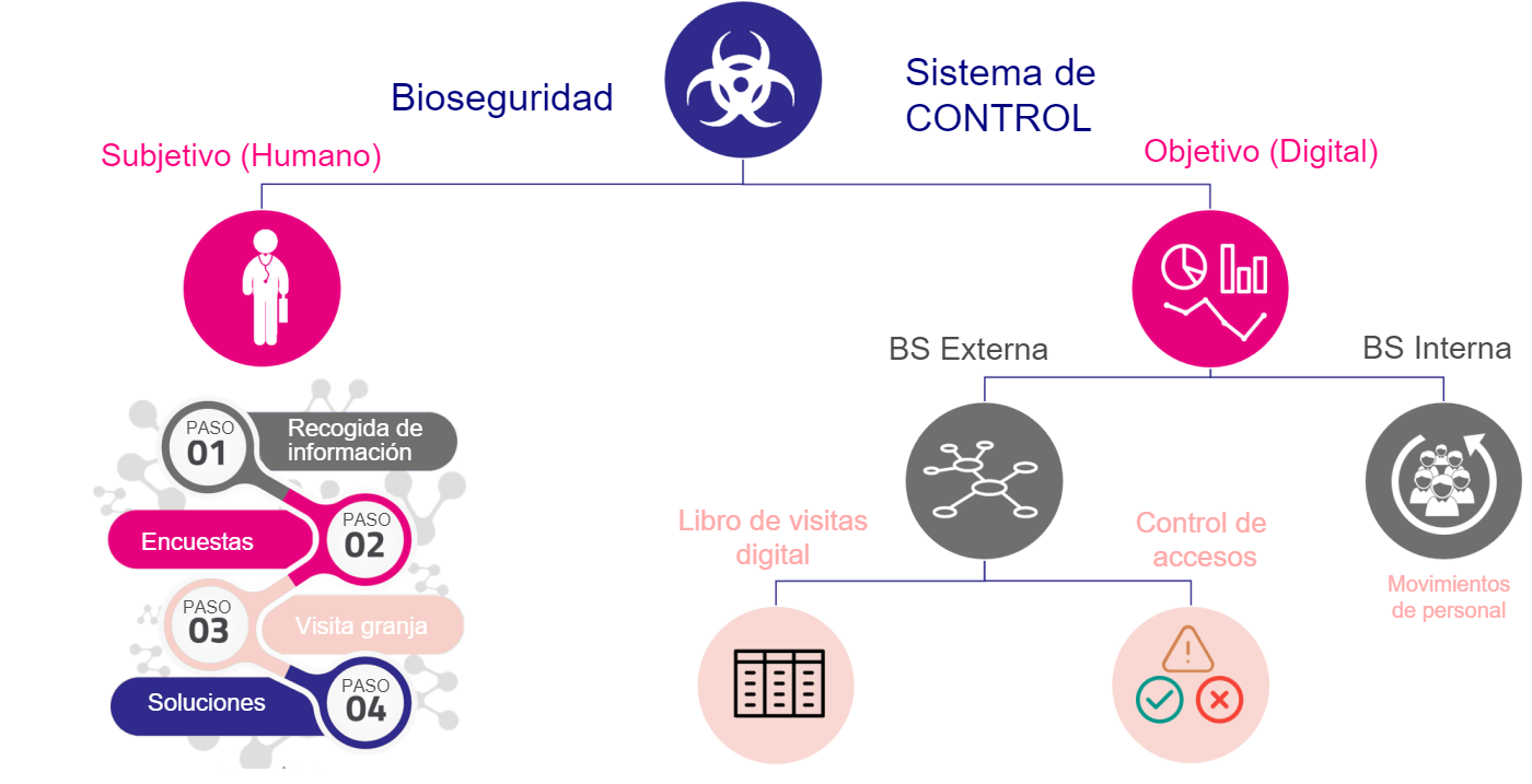 El Control Objetivo De La Bioseguridad En Granjas De Porcino12 Artículos 3tres3 La