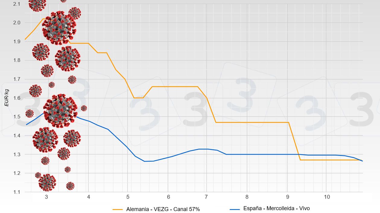 Evoluci&oacute;n del precio de porcino tras el Covid (el precio de Alemania es en canal y el de Espa&ntilde;a en vivo)