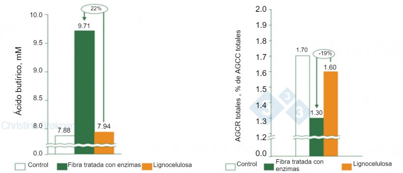 Figura 1. Control = no fibra, Fibra tratada con enzimas = PNA soluble, Lignocelulosa&nbsp;= PNA insoluble.&nbsp;(A) La producci&oacute;n de &aacute;cido but&iacute;rico aumenta un 22% en lechones (15 kg) al fermentar fibra soluble. (B) La fermentaci&oacute;n de prote&iacute;nas se reduce un 19% en lechones (15 kg) al fermentar fibra soluble. AGCC = &aacute;cidos grasos de cadena corta, AGCR = &aacute;cidos grasos de cadena ramificada.
