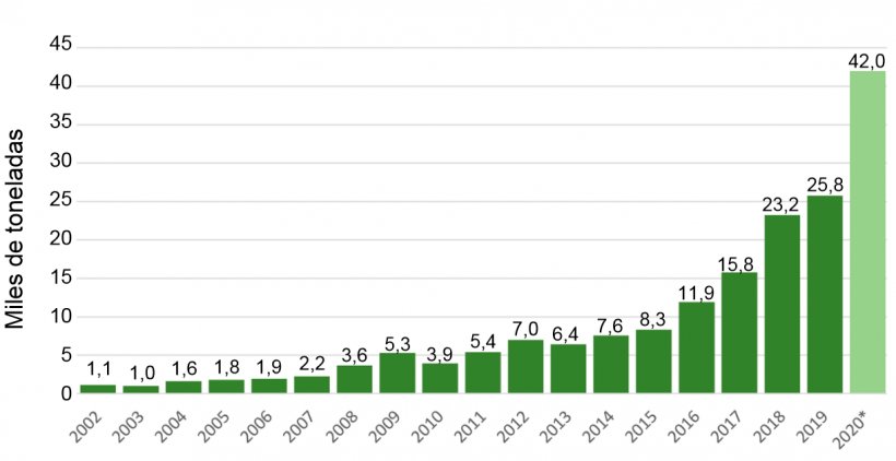 Gr&aacute;fico N&ordm; 4.&nbsp;Exportaciones. Fuente: Datos de ADUANA &ndash; A&ntilde;o 2002 proyectado.
