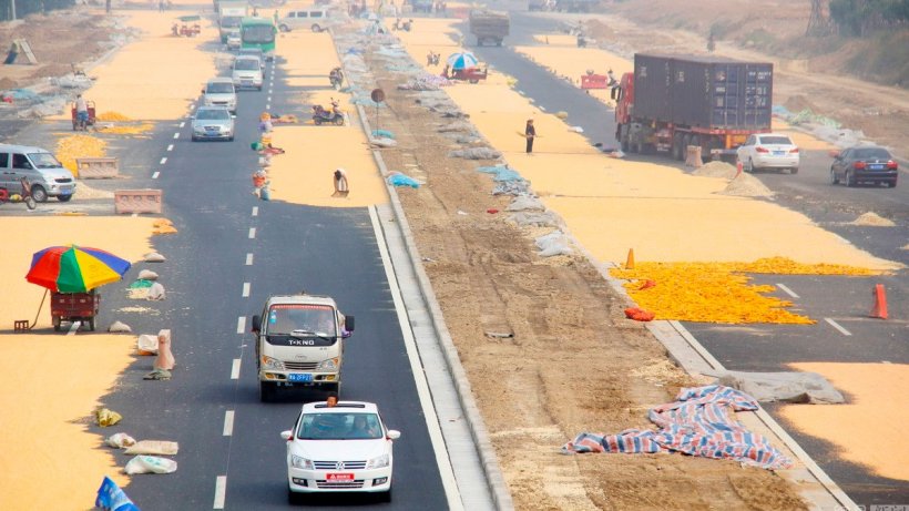 Imagen 1. Agricultores chinos secando ma&iacute;z en el asfalto caliente. Fuente : Ch&eacute;n fēi/CFP,&nbsp;News163
