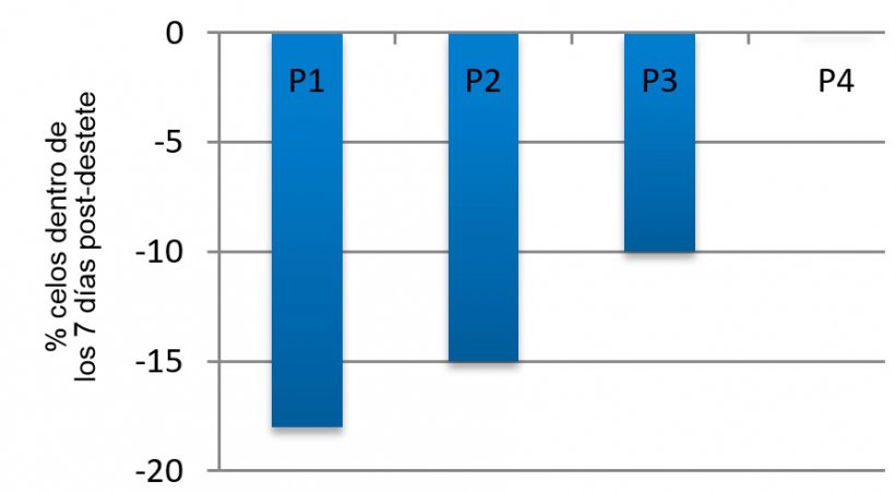 Imagen 3. Efecto del ciclo sobre el porcentaje de cerdas que expresan el celo dentro de los primeros 7 días post-destete en verano en comparación con la primavera (adaptado de Belstra y otros, 2004)