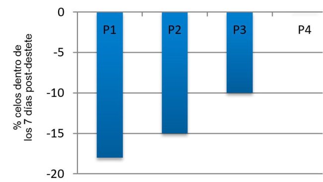 Imagen 3. Efecto del ciclo sobre el porcentaje de cerdas que expresan el celo dentro de los primeros 7 días post-destete en verano en comparación con la primavera (adaptado de Belstra y otros, 2004)