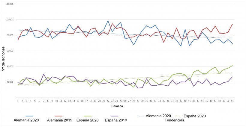 Evolución semanal de las exportaciones neerlandesas de lechones hacia Alemania y España para 2019 y 2020.