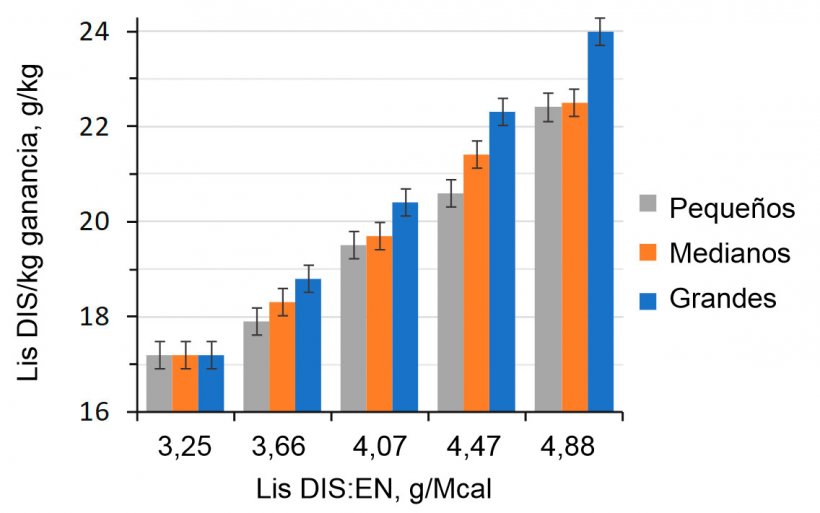 Figura 1. Efecto de la ratio lisina-energ&iacute;a de la dieta en cerdos de engorde (28-63 kg PV) clasificados seg&uacute;n su peso inicial (Aymerich et al., 2020).
