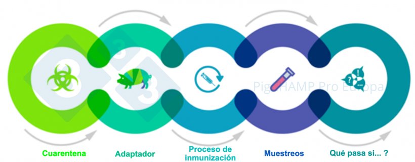 Figura 1. Aspectos claves interconectados que se deben de conocer antes de la visita.
