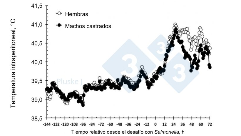 Figura 2. Efecto de ser una hembra o un macho castrado en la respuesta de la temperatura intraperitoneal a un desaf&iacute;o oral con Salmonella typhimurium. Hubo una interacci&oacute;n sexo-tiempo (P < 0,001) en la que las hembra tubieron una mayor temperatura que los cerdos castrados entre las 36-63 y a las 72 h tras el desaf&iacute;o (Burdick Sanchez et al., 2017).
