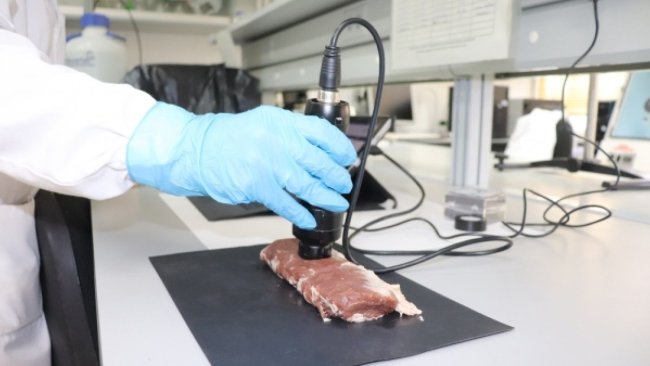 Desarrollan una herramienta digital para la autentificación de productos de cerdo ibérico