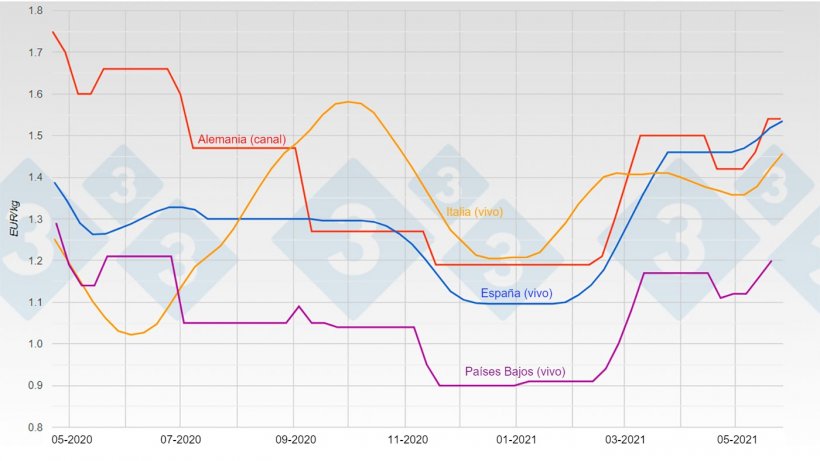 Gráfica 1. Evolución del precio del cerdo en Alemania, España, Países Bajos y Italia.