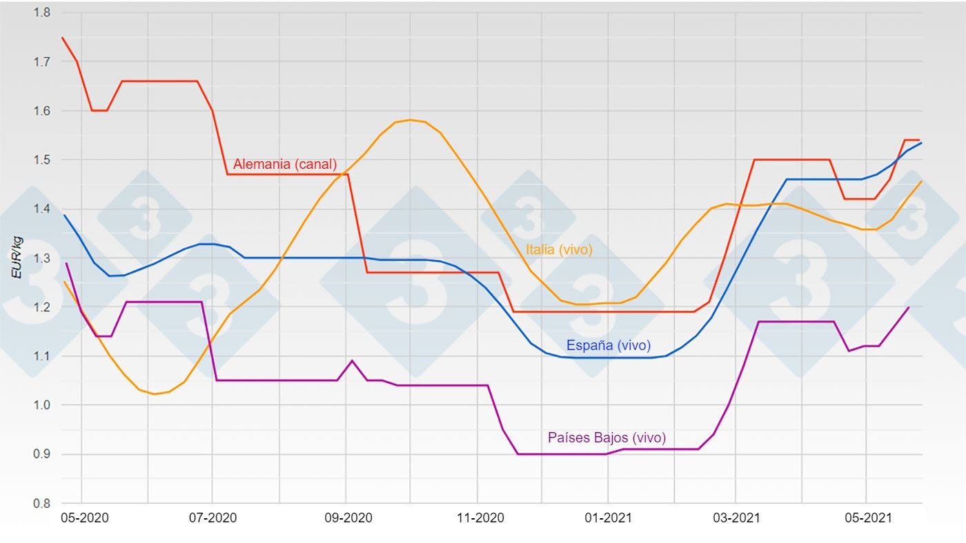 Gr&aacute;fica 1. Evoluci&oacute;n del precio del cerdo en Alemania, Espa&ntilde;a, Pa&iacute;ses Bajos y Italia.