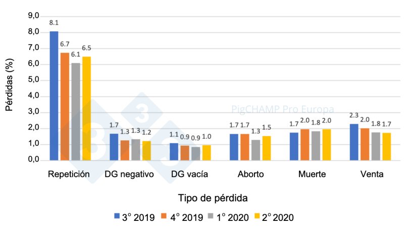 Gr&aacute;fico 6.&nbsp;Distribuci&oacute;n y % de p&eacute;rdidas de gestaci&oacute;n por tipo de p&eacute;rdida, cubriciones periodo Julio 2019-Junio 2020.
