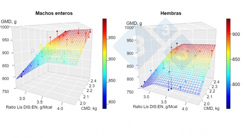 Figura 1. Modelizaci&oacute;n del efecto de la ratio lisina-energ&iacute;a y el consumo medio diario en machos enteros y hembras entre 70 y 105 kg de peso vivo. GMD=ganancia media diaria, CMD=consumo medio diario. Fuente: Aymerich et al., 2020.
