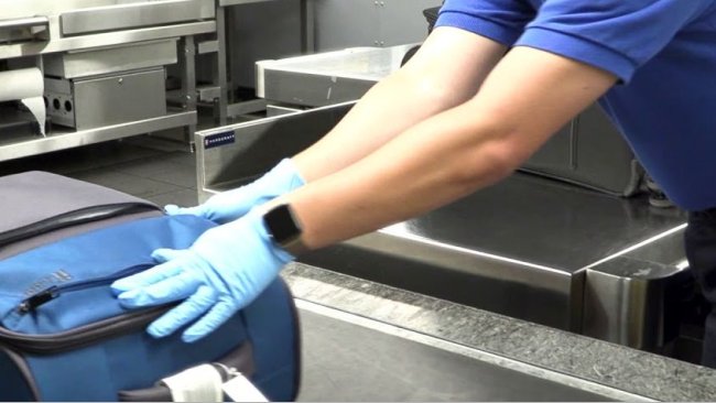 control carne cerdo equipajes