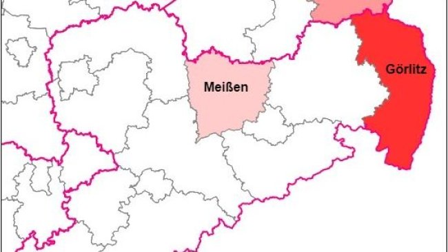 Confirmado un caso de PPA en jabalí en el distrito de Meißen