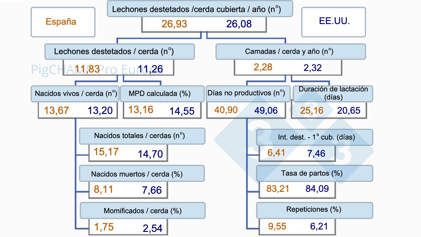 Índice de partos: diagnóstico de problemas en granjas de porcino -  Artículos - 3tres3, la página del Cerdo