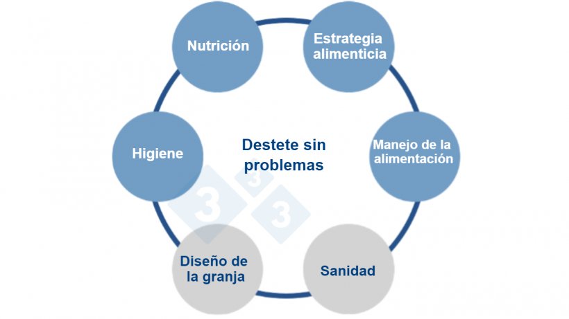 Figura&nbsp;1.&nbsp;Un enfoque multifactorial para la alimentaci&oacute;n sin zinc. Fuente:&nbsp;Vilomix.
