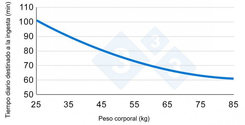 Gr&aacute;fica 2. Variaci&oacute;n del tiempo dedicado a la ingesta durante el crecimiento de los cerdos. Adaptado de Hyun et al., 1997.
