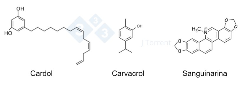 Figura 2. Comparaci&oacute;n de la estructura qu&iacute;mica de tres productos fitog&eacute;nicos. &nbsp;
