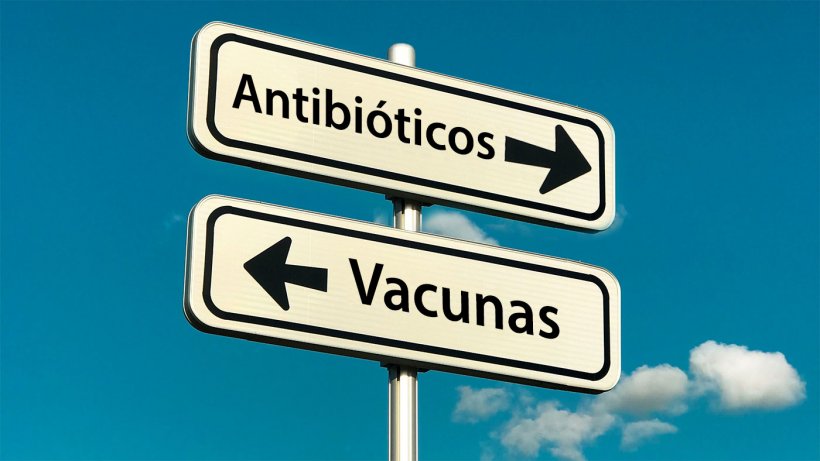 La intensificaci&oacute;n de la producci&oacute;n de piensos y el surgimiento de nuevos sistemas de producci&oacute;n (como &quot;Criado sin antibi&oacute;ticos&quot; o sistemas org&aacute;nicos) ha resultado en el surgimiento&nbsp;o resurgimiento&nbsp;de pat&oacute;genos. Estas nuevas tendencias sociales, junto con la voluntad de reducir el uso de antimicrobianos en la producci&oacute;n ganadera, resaltan la importancia de mejorar las vacunas existentes y/o desarrollar nuevas estrategias de vacunaci&oacute;n para luchar contra los pat&oacute;genos emergentes o reemergentes.
