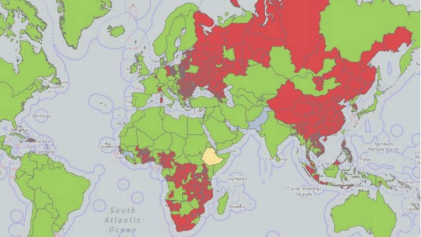 Distribuci&oacute;n mundial de la peste porcina africana desde 2005. Las zonas infectadas (notificadas al menos
una vez) se muestran en rojo, las &aacute;reas sospechosas en amarillo y las &aacute;reas libres en verde. Fuente: OIE.&nbsp;
