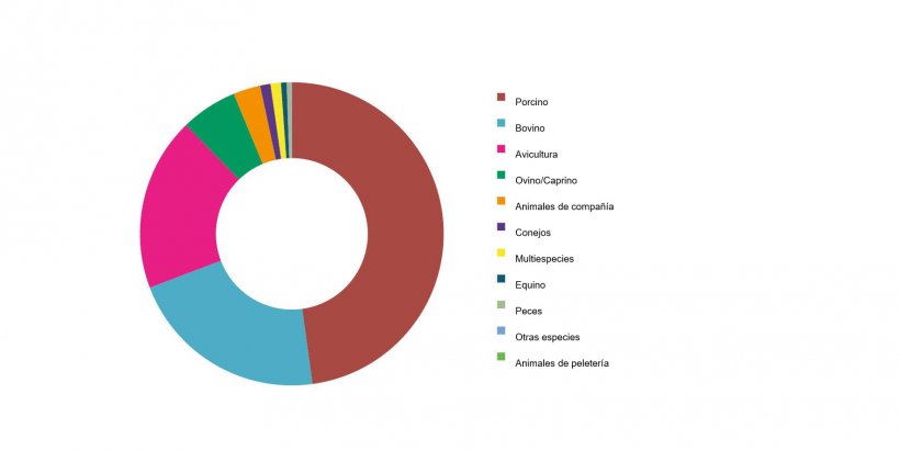 Producci&oacute;n de piensos por especies en Espa&ntilde;a en 2020 (t). Fuente: MAPA.
