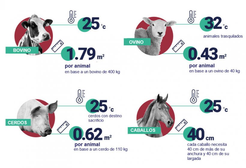 Espacio y temperaturas recomendados por animal. Fuente: EFSA.