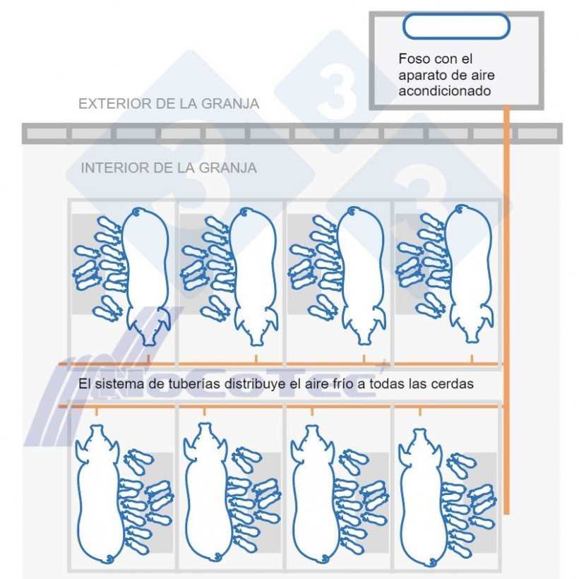 Funcionamiento del sistema Freshnose