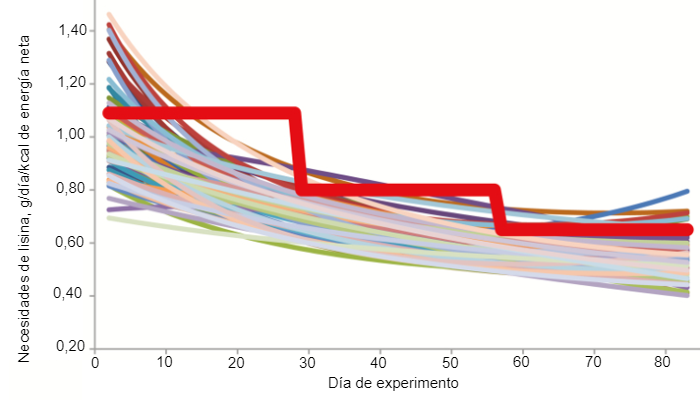 Figura 1. Necesidades estimadas de lisina digestible &iacute;leal&nbsp;de los cerdos individualmente (l&iacute;neas finas de color) y niveles m&iacute;nimos de lisina digerible por el &iacute;leon que deben recibir los cerdos alimentados en un sistema de alimentaci&oacute;n en grupo convencional de tres fases (l&iacute;nea roja en negrita) seg&uacute;n Hauschild et al. (2010).
