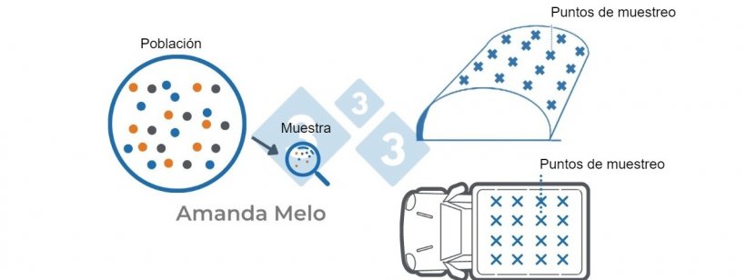 La muestra debe ser representativa, se debe tomar bajo la metodolog&iacute;a adecuada
