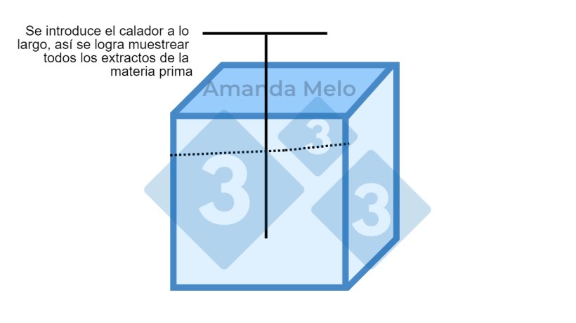 Figura 2: Esquema de puntos de muestreo en big bag con calador largo tipo sonda.
