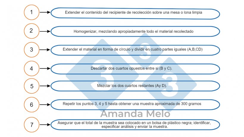 Figura 4: Paso a paso de como cuartear una muestra.&nbsp;
