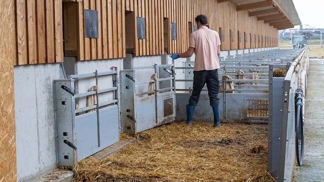 El nuevo Quick.Gate de WEDA permite limpiar simultáneamente varias pistas exteriores en una sola pasada.