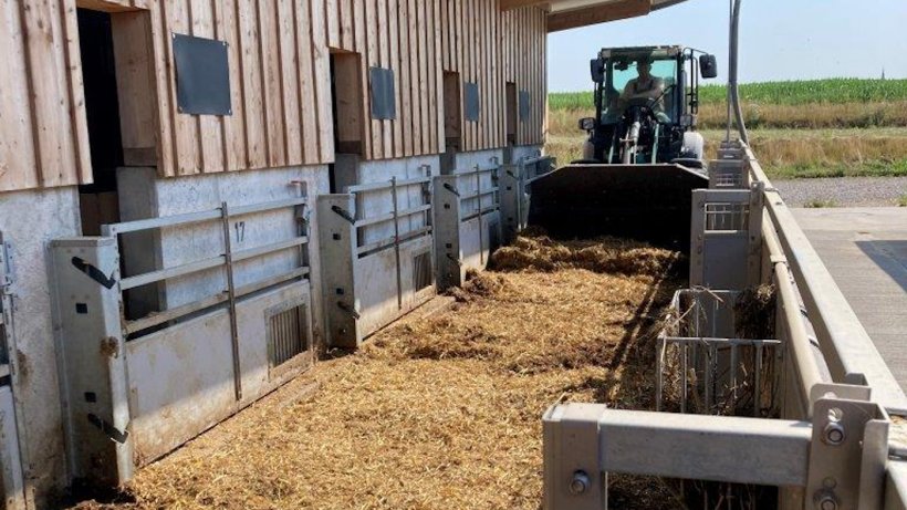 Al abrirse, la barrera se eleva autom&aacute;ticamente de la paja al borde lateral de hormig&oacute;n mediante unas bisagras especiales, quedando fijado al establo el lado del Quick.Gate que puede girar a ambos lados. Esto permite que se abra r&aacute;pida y f&aacute;cilmente en dos direcciones.
