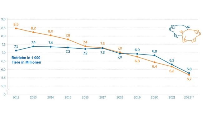 Granjas porcinas* y censo en Renania del Norte-Westfalia a 3 de noviembre. Fuente: IT NRW.
*Granjas con al menos 50 cerdos o al menos 10 cerdas reproductoras.