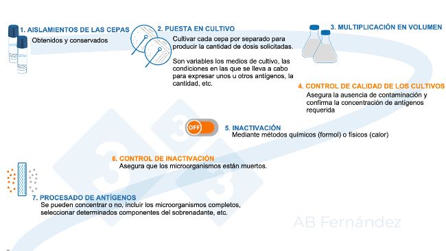 Figura 1. Esquema de fabricaci&oacute;n de una autovacuna
