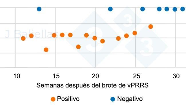 Figura 1. Evolución de los valores Ct de la PCR en las semanas post brote de PRRS.