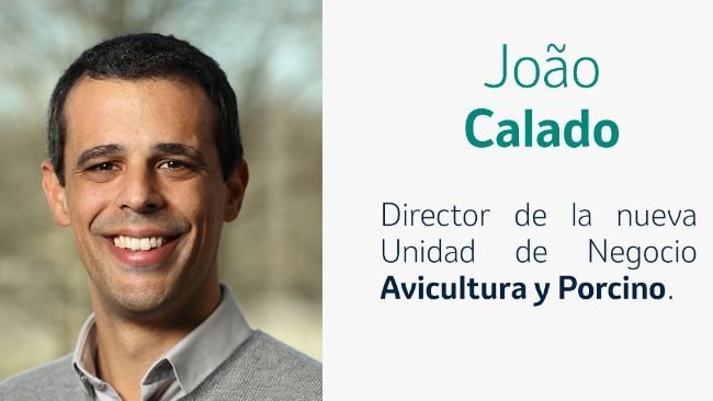 João Calado, nuevo director de la unidad de negocio de Avicultura y Porcino de MSD Animal Health España