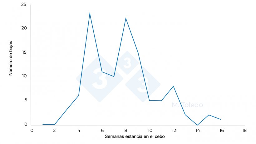 Figura 3. Evoluci&oacute;n de las bajas de un cebadero tras la medicaci&oacute;n: S 4- florfenicol en agua de bebida, S6 -Marbofloxacina inyectable, S8 -Tiamulina o Lincomicina en agua de bebida.
