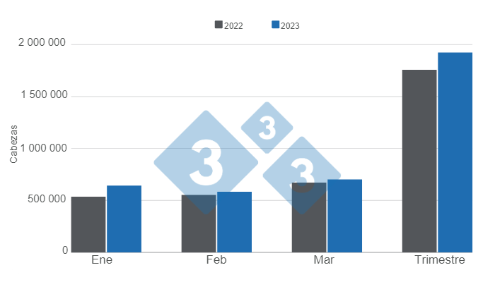 Gr&aacute;fico 1. Faena de porcinos en el primer trimestre de 2023 versus 2022.&nbsp;Elaborado por el Departamento de Econom&iacute;a e Inteligencia de Mercados con datos de la Secretar&iacute;a de Agricultura, Ganader&iacute;a y Pesca&nbsp; del Ministerio de Econom&iacute;a de Argentina.&nbsp;
