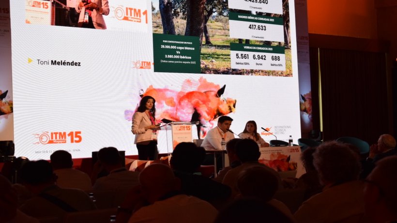 15ª edición del encuentro ITM en Sevilla.