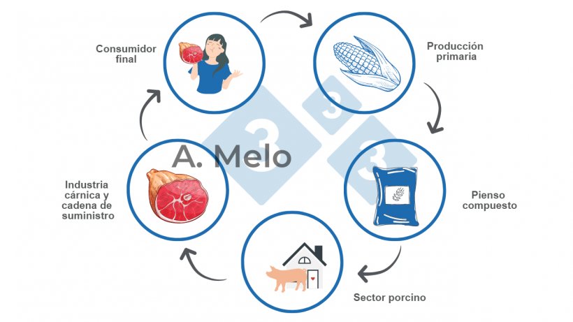 Gr&aacute;fico 1: Grafica de la cadena alimentaria desde la producci&oacute;n primaria hasta la mesa del consumidor final.
