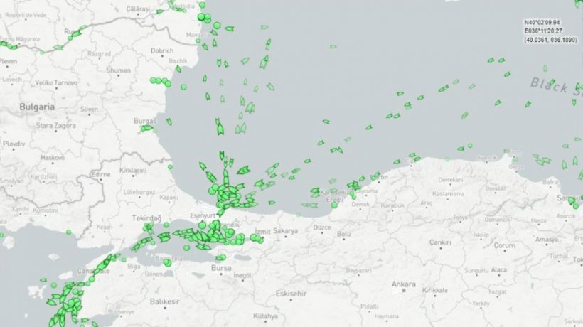 Barcos graneleros en el B&oacute;sforo esperando su turno. Fuente:&nbsp;Marine Traffic
