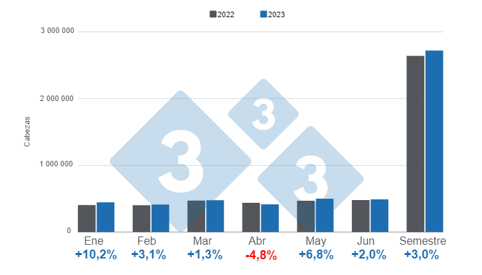 Gr&aacute;fico 1. Sacrificio de cerdos por meses&nbsp;en el primer semestre de 2023.&nbsp;Elaborado por el&nbsp;333 con datos del DANE.&nbsp;
