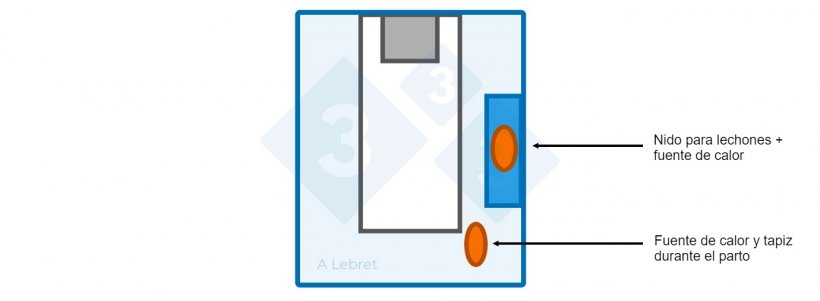 Figura 1. Disposici&oacute;n de la paridera y gesti&oacute;n de la temperatura (tanto de la cerda como de los lechones)&nbsp;

