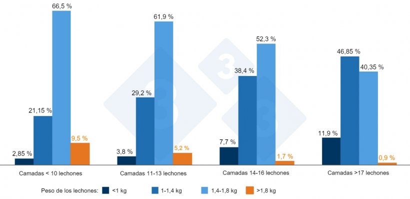 Gráfica 2. Pesos según prolificidad. Fuente: ThinkinPig 2015