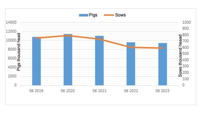 Figura 1. Evolución del censo de cerdos en Polonia. Fuente: Oficina Central de Estadística, Polonia