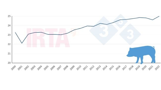 Evolución de la edad al destete desde el año 2000 al 2022. Datos del BDporc.