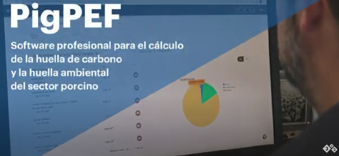 PigPEF: Cálculo De La Huella Ambiental En La Cadena De Valor Porcina ...