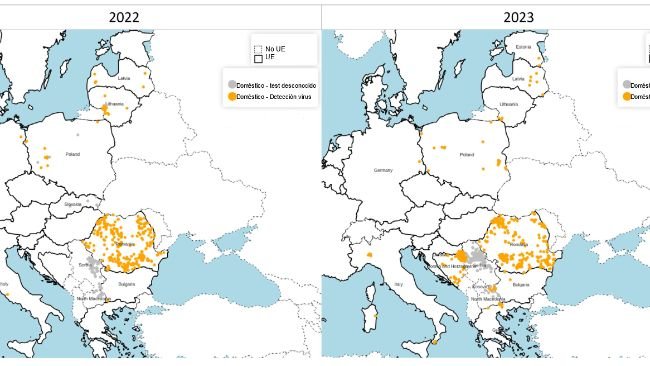 Distribución espacial de los brotes de PPA entre cerdos domésticos confirmados en 2022 (izquierda) y 2023 (derecha). Fuente: ADIS, consultado el 1 de febrero de 2024. © EuroGeographics para los límites administrativos.